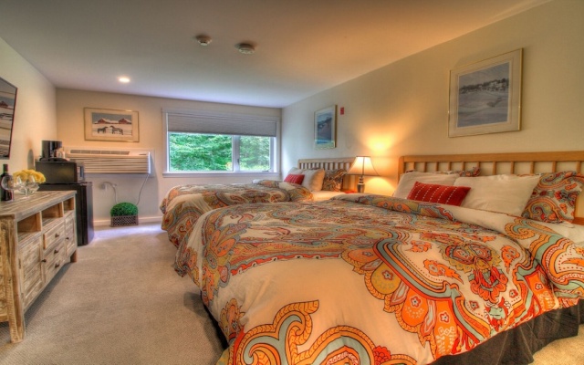 photo 3 of Kcis 431 - New Killington Studio: Great Location! Comfy!