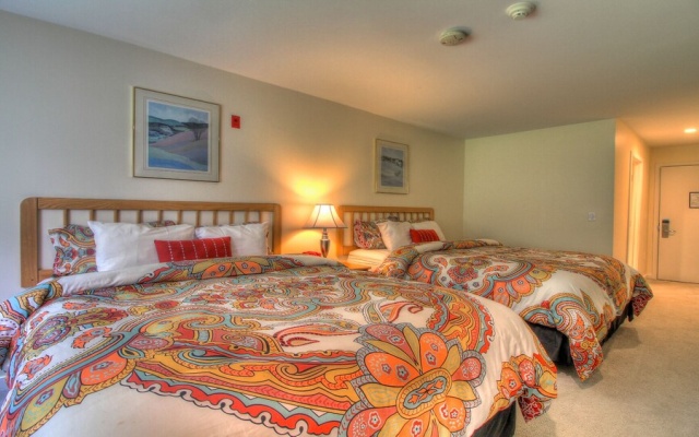photo 5 of Kcis 431 - New Killington Studio: Great Location! Comfy!