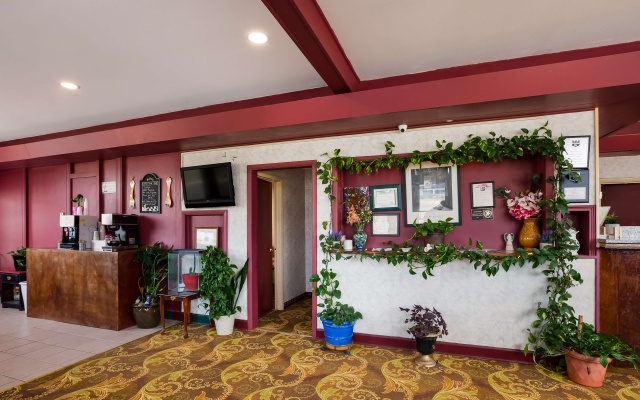 photo 2 of Knights Inn Fayetteville