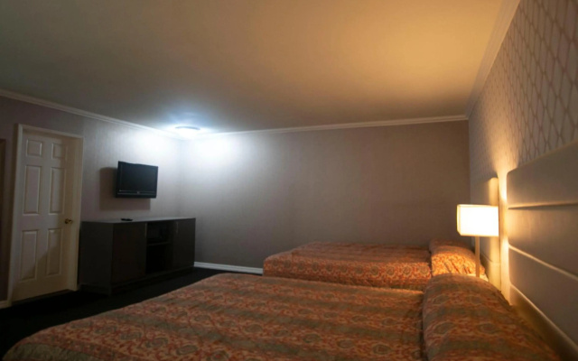 photo 3 of Alpha Inn & Suites