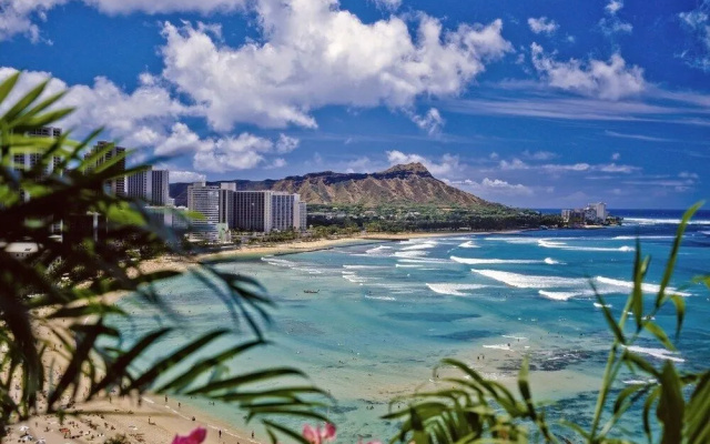 photo 5 of Kuhio Village 904a Condo by Redawning