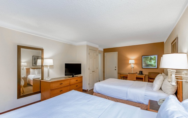 photo 3 of La Quinta Inn by Wyndham San Antonio I-35 N at Rittiman Rd