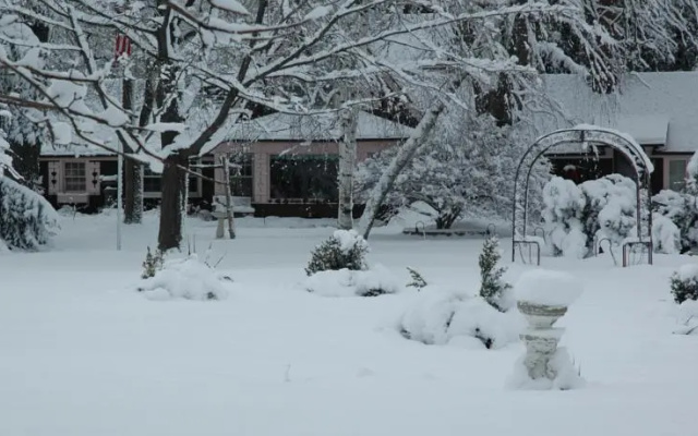 photo 5 of Lazy Cloud Bed and Breakfast