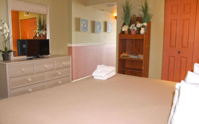 photo 5 of Meridian Plaza by Palmetto Vacations