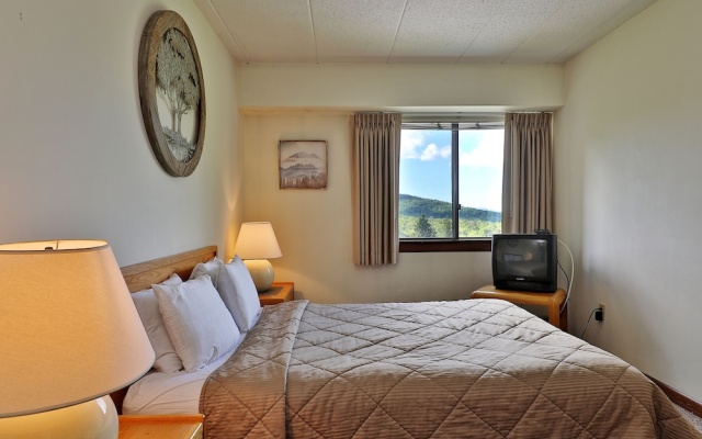 photo 3 of MG 2D09 - 1BR/1BA Condo at Mountain Green Resort Killington
