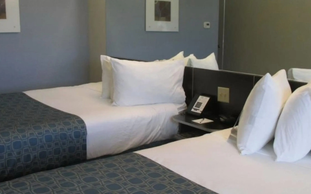 photo 3 of Microtel Inn & Suites By Wyndham Belle Chasse/New