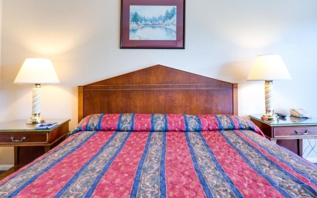 photo 5 of Motel Moonlight