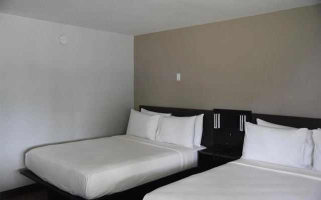 photo 5 of Signature Inn Miami