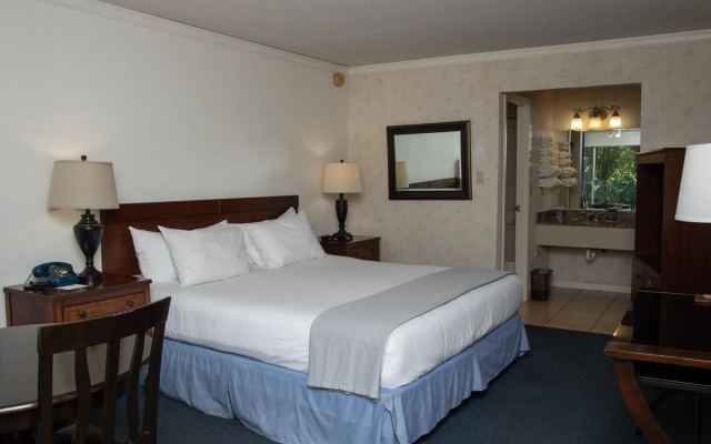 photo 3 of The Occidental Lodge