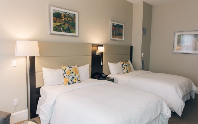 photo 3 of Newbury Guest House