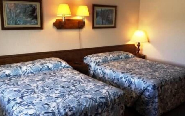 photo 5 of Nocturne Motel