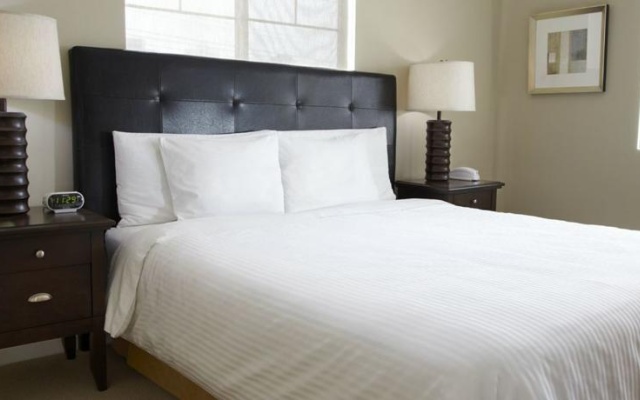 photo 3 of Northside at Legacy Apartments (Plano, TX)