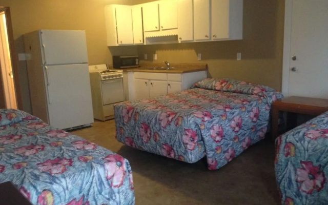 photo 2 of Oasis Motel