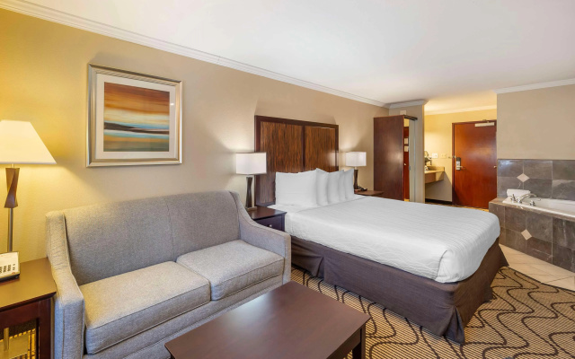 photo 5 of Best Western Plus Orchid Hotel & Suites