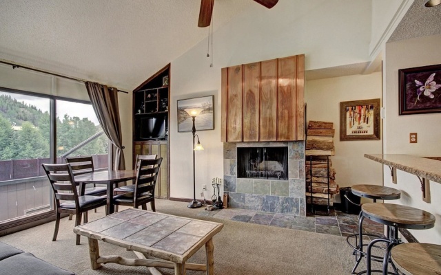 photo 4 of Pet-Friendly Ski in Ski out Condo 30 Second Walk to Lift  - SF204 by RedAwning