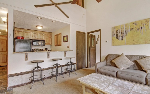 photo 5 of Pet-Friendly Ski in Ski out Condo 30 Second Walk to Lift  - SF204 by RedAwning