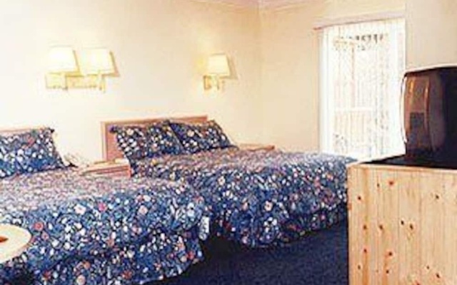 photo 4 of Pine Beach Inn
