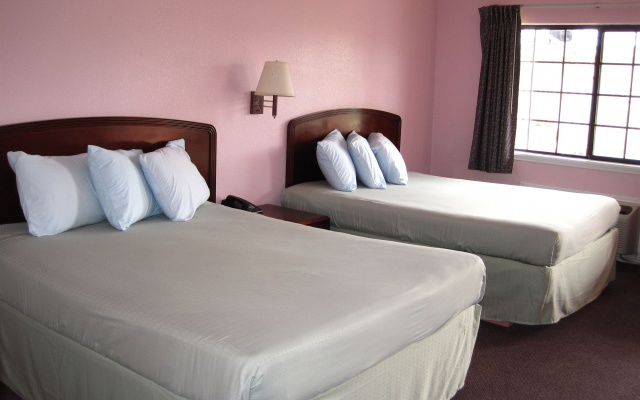 photo 3 of Pinn Road Inn and Suites