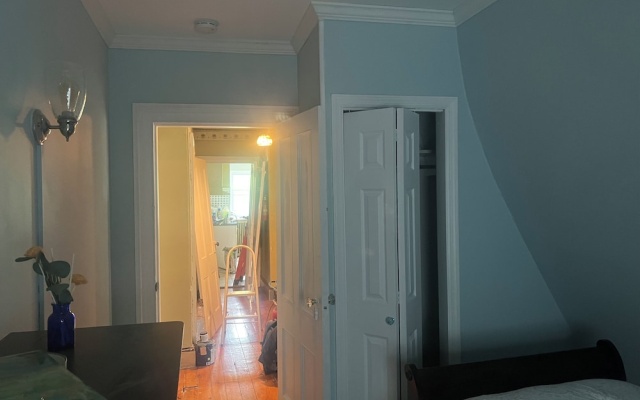photo 4 of 2Br Private Victorian Apartment in City Location on Half Acre Sleeps 5
