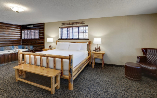photo 4 of Stoney Creek Hotel Quad Cities - Moline