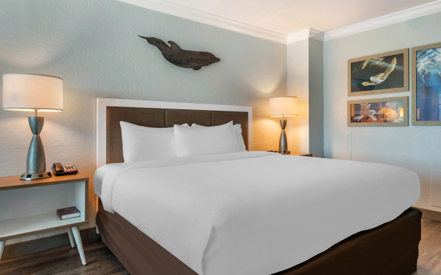 photo 3 of Dolphin Sands Clearwater Beach, an Ascend Collection Hotel