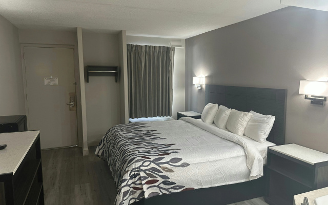 photo 4 of Red Roof Inn Media