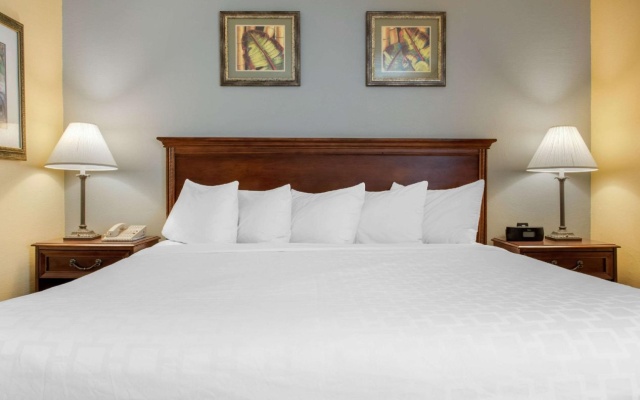 photo 4 of Quality Inn Airport