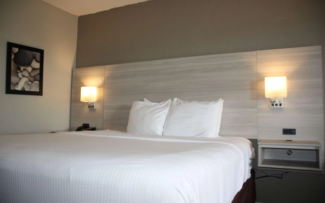 photo 5 of Boca Suites Deerfield Beach, SureStay Collection by BW