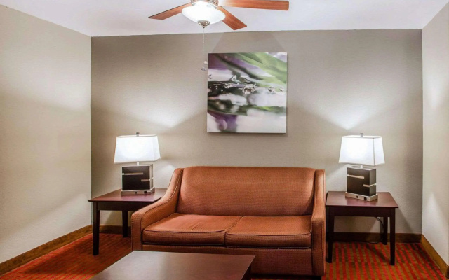 photo 4 of Quality Suites Nashville Airport
