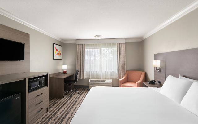 photo 4 of Solara Inn and Suites