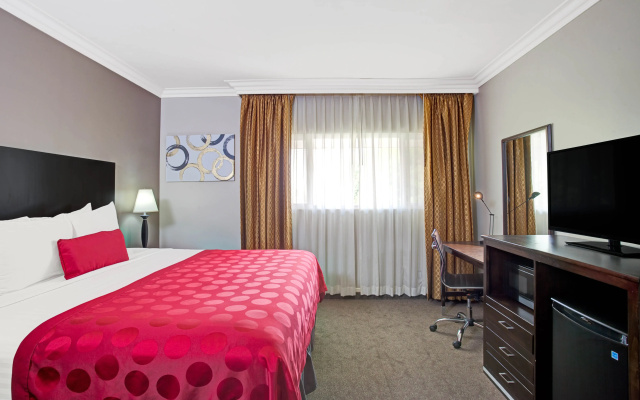 photo 3 of The Live Hotel