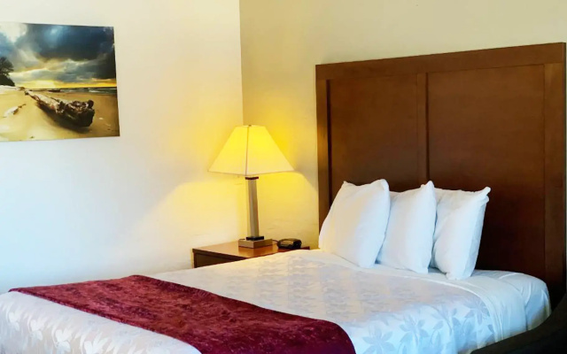 photo 3 of Red Carpet Inn Medford