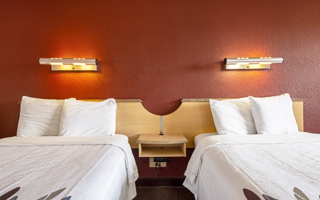 photo 4 of Red Roof Inn Milford - New Haven