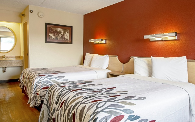 photo 5 of Red Roof Inn Milford - New Haven