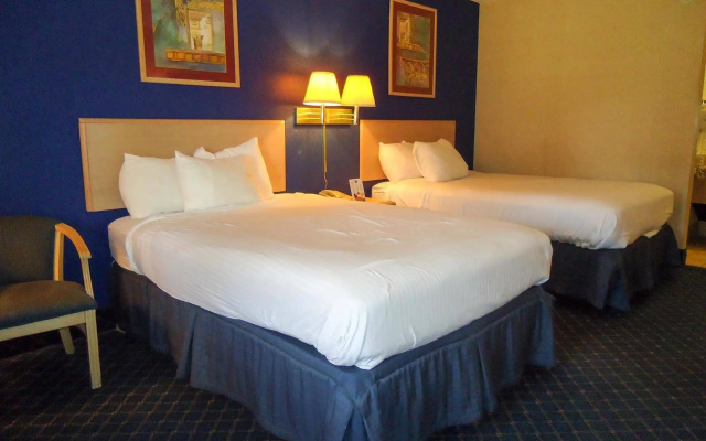 photo 3 of Dreamland Inn