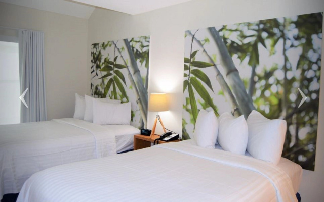 photo 4 of Doral Suites