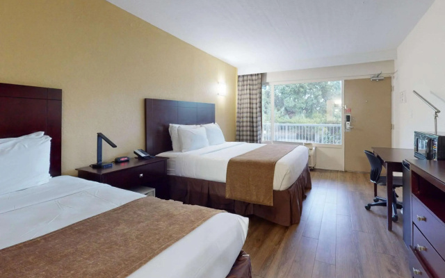 photo 5 of Rodeway Inn & Suites Fort Lauderdale Airport & Cruise Port