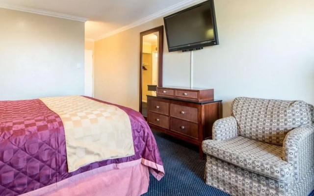 photo 5 of Queencity Inn