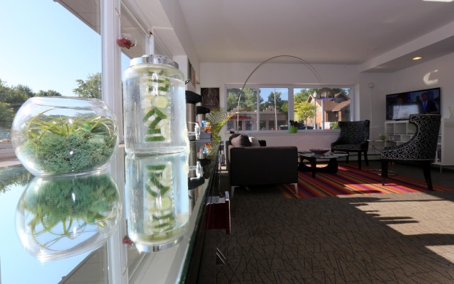 photo 2 of Hotel Royal Oak