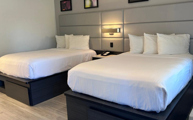 photo 5 of Signature Inn Santa Clara