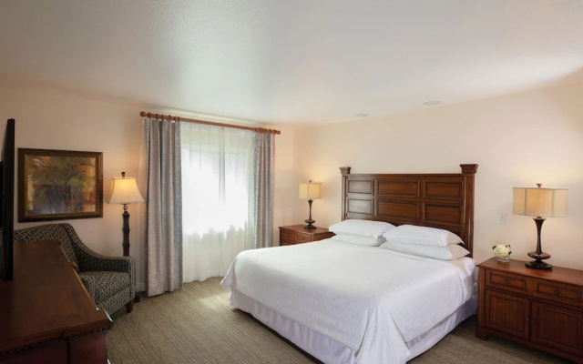 photo 4 of Sheraton Vistana Resort Villas, Lake Buena Vista/Orlando