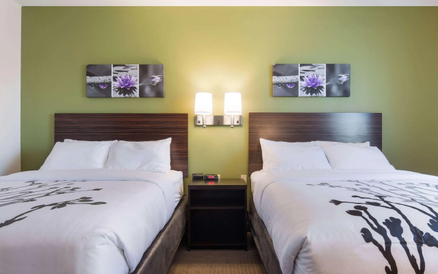 photo 4 of Sleep Inn East Camden