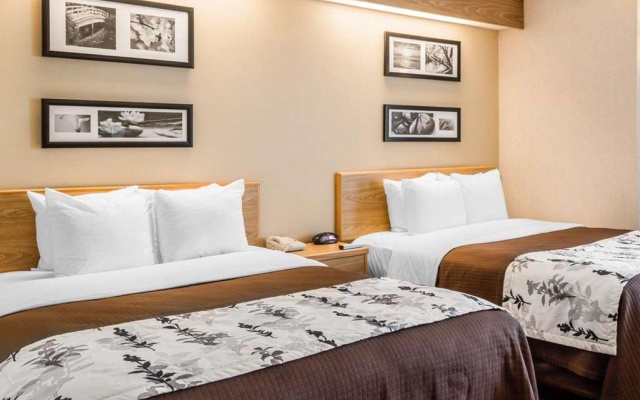 photo 5 of Sleep Inn