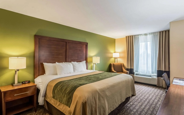 photo 2 of Comfort Inn & Suites Panama City North