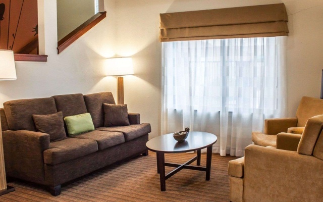 photo 5 of Sleep Inn Arlington Near Six Flags