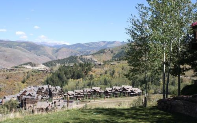 photo 5 of Snowberry
