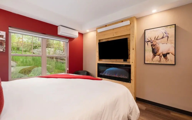 photo 5 of Solitude Elk Room 101 - Estes Park 1 Bedroom Studio by RedAwning