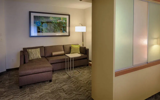 photo 3 of SpringHill Suites Albany-Colonie