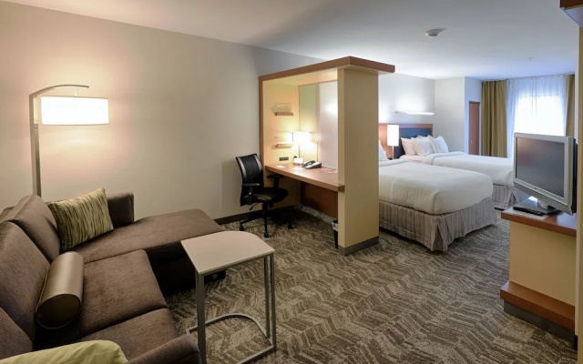 photo 4 of SpringHill Suites Albany-Colonie