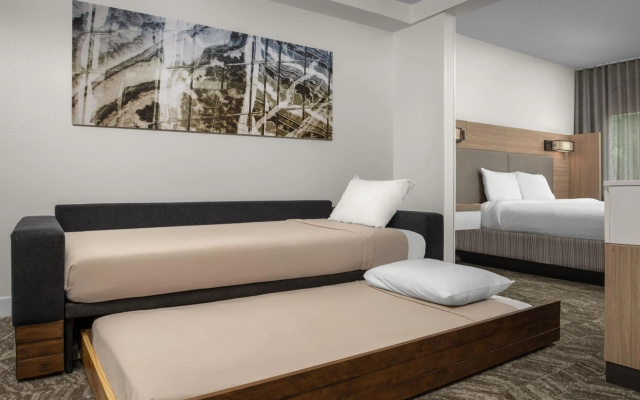 photo 2 of SpringHill Suites by Marriott Atlanta Buford/Mall of Georgia